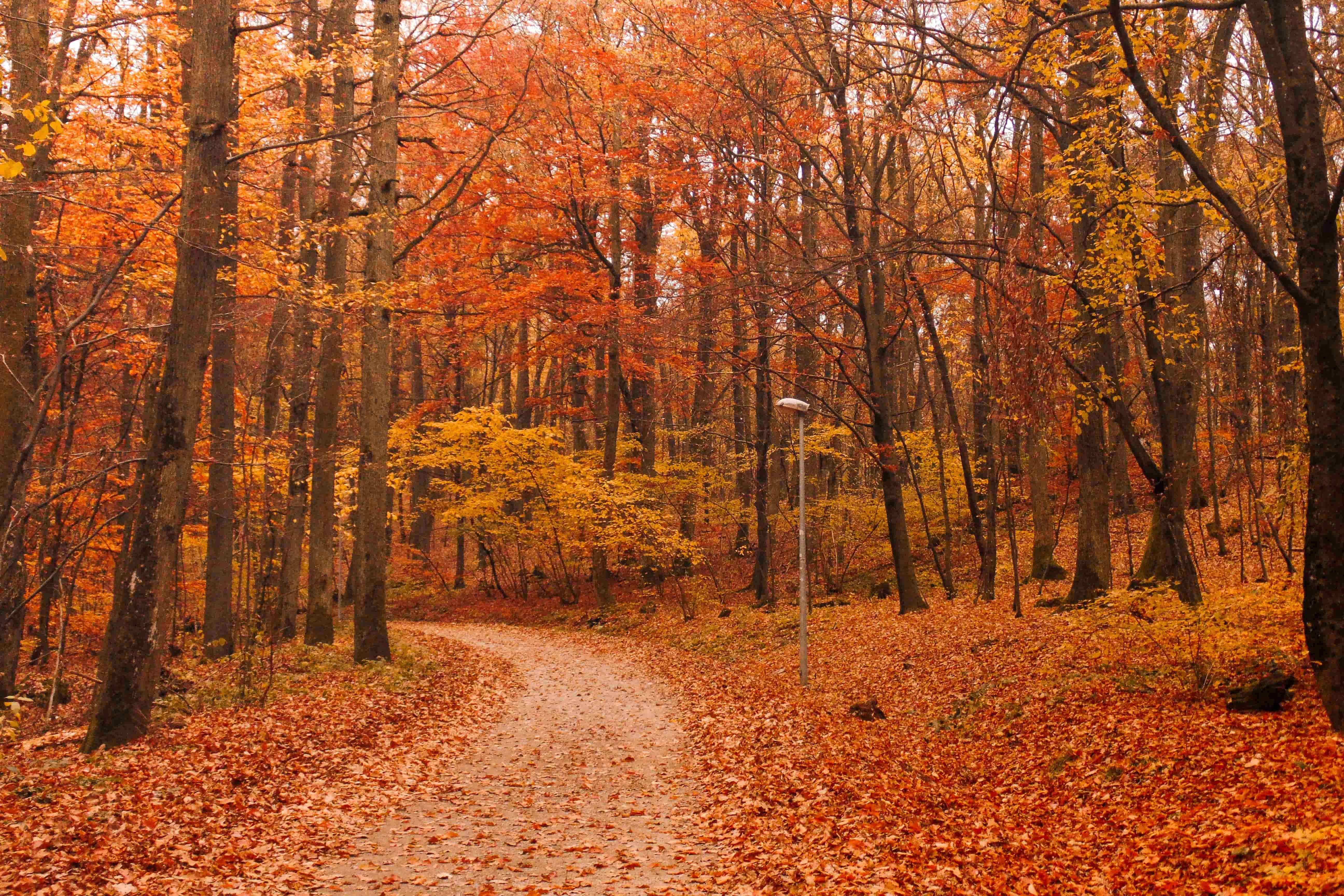 Fall for Autumn: The 10 best October escapes for 2026