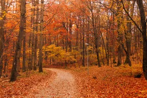 Fall for Autumn: The 10 best October escapes for 2026