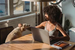 Travelling with your best friend: The top digital nomad hubs for pet owners in 2026