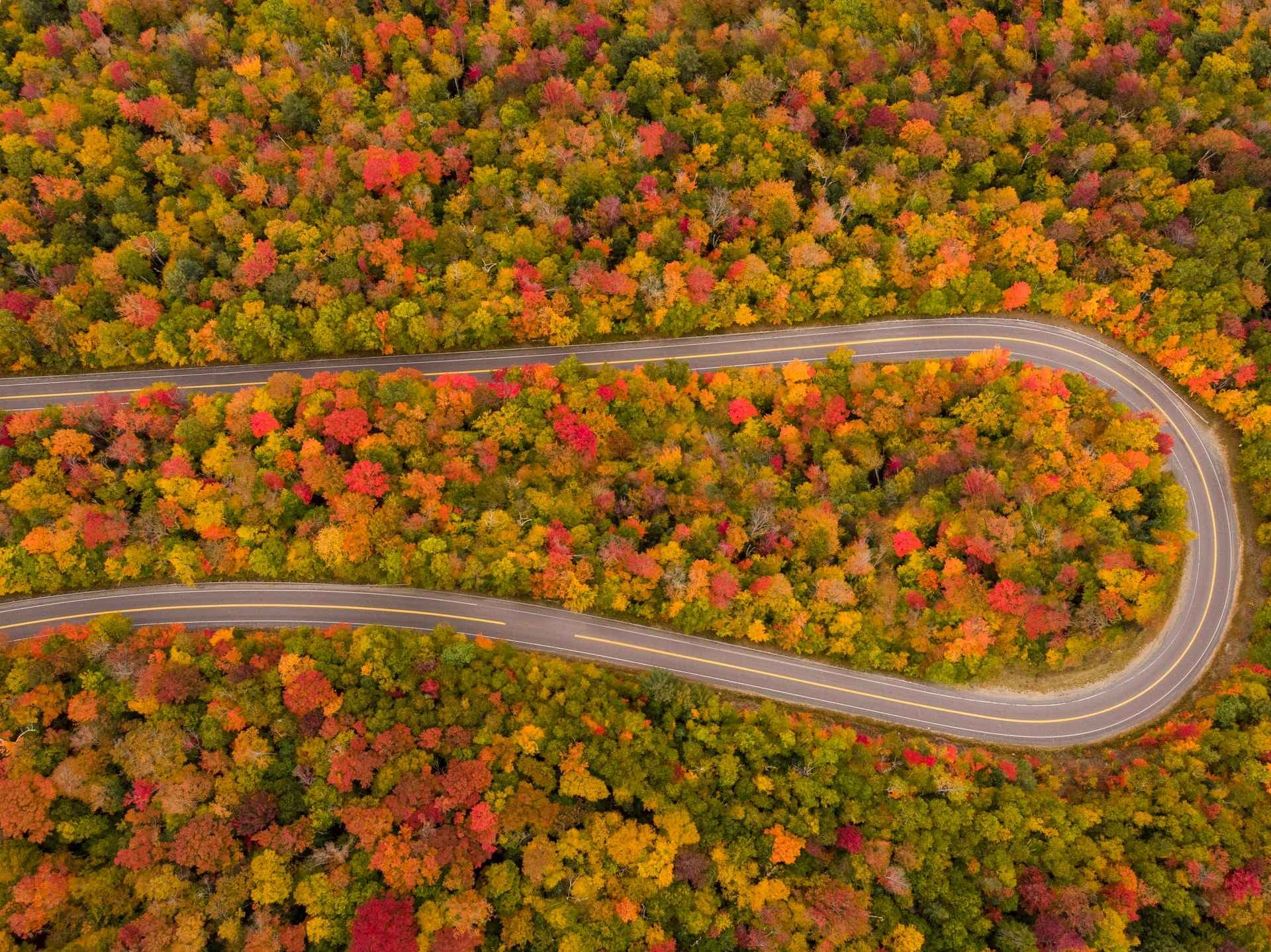 The US States With The Most Natural Beauty
