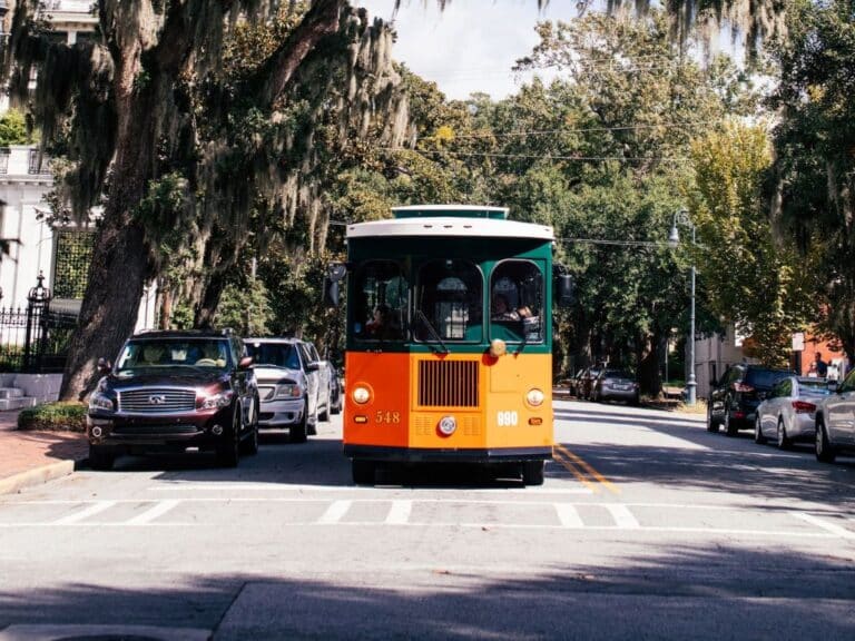 Georgia is one of the best destinations for digital nomads