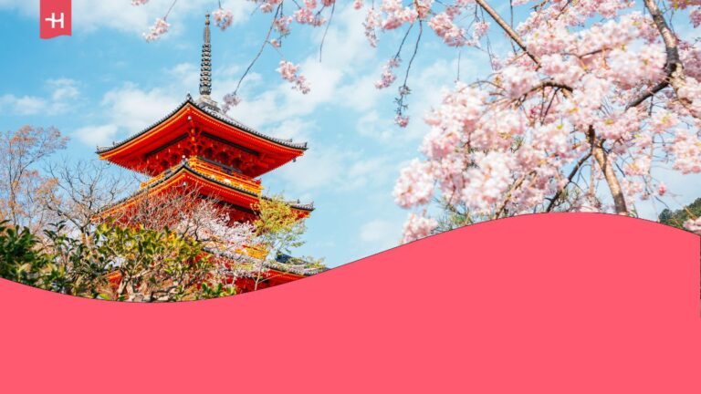 Japan temple and a cherry tree in bloom