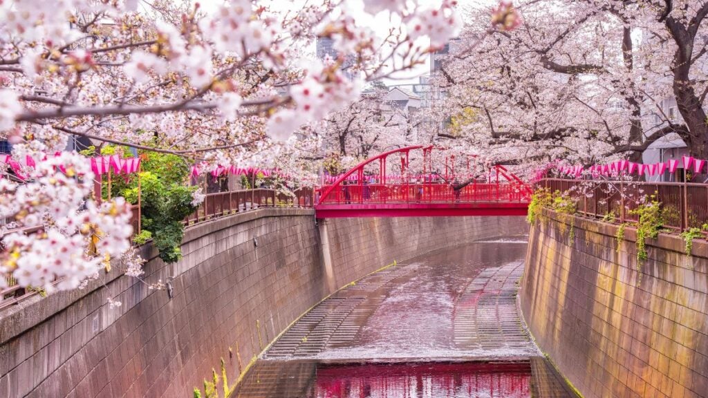 Spring in Japan
