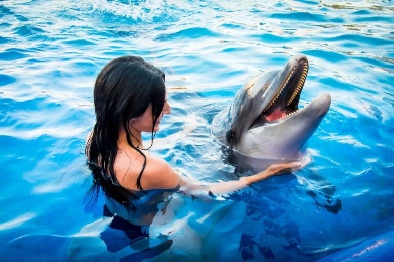 Dolphinarium at Costa Maya