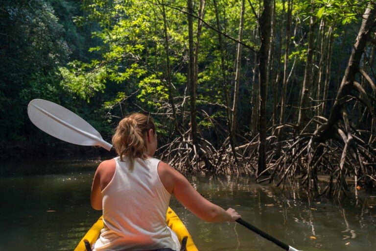 Woman in a kayak, going Mangrove kayaking in Costa Maya