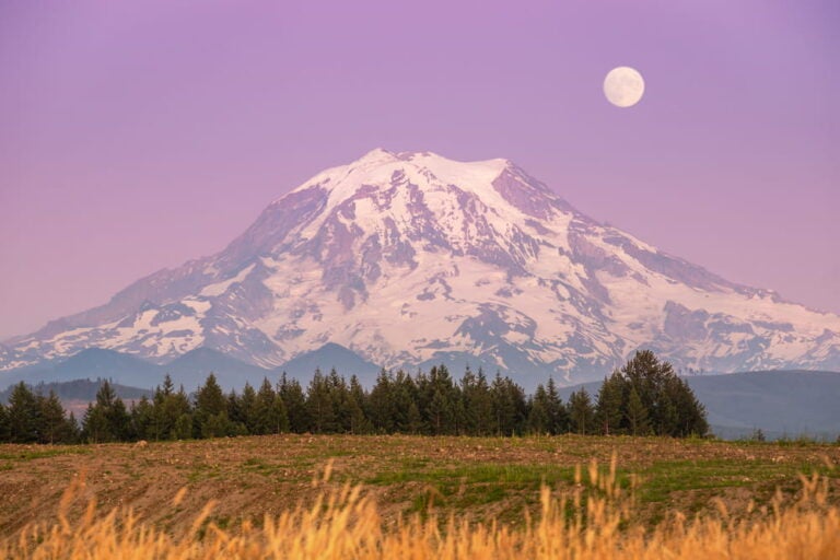 Mt Rainier