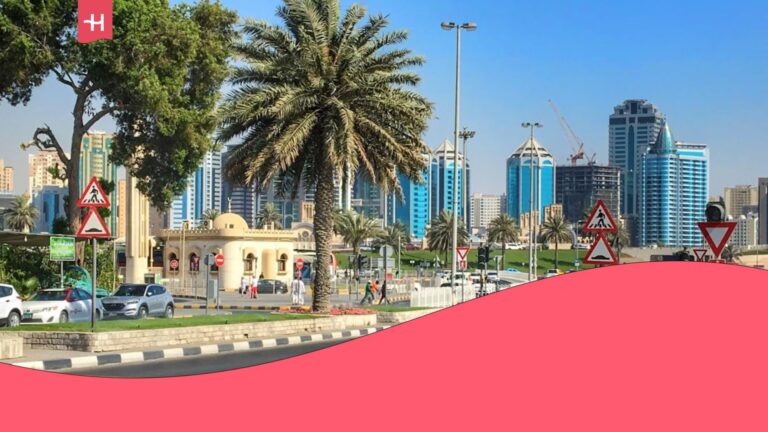 uae sim card