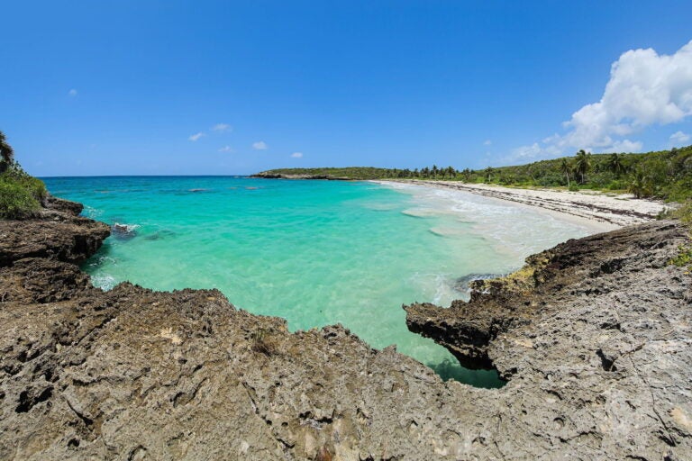 Coastal view of Vieques