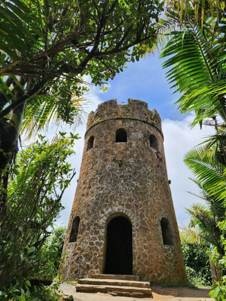 mt britton tower