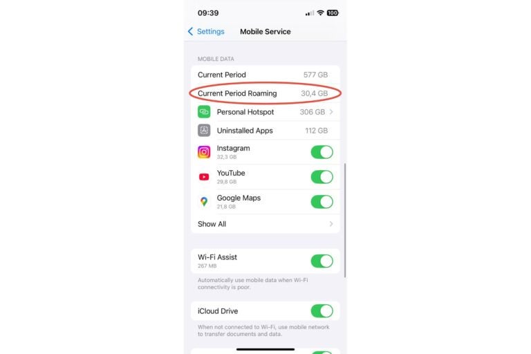 How to check data roaming usage on iPhone