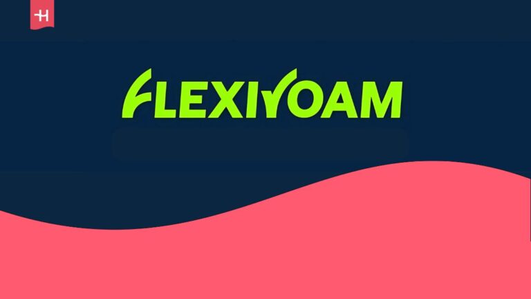 Flexiroam logo on holafly's background