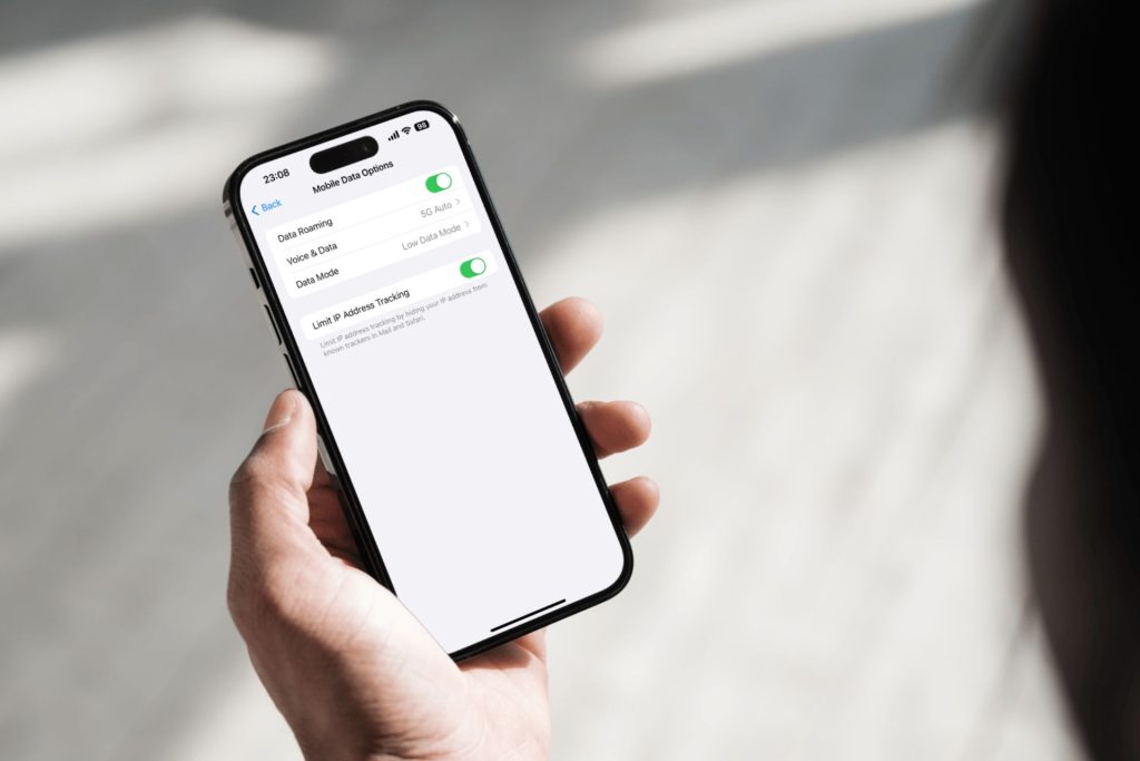turn on data roaming