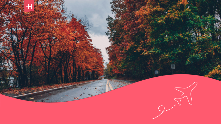 Low-angle shot of a road bordered by trees with rusty foliage, captured on a rainy day under a gray cloudy sky.