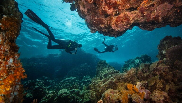 Scuba diving in Red Sea, Hurghada
