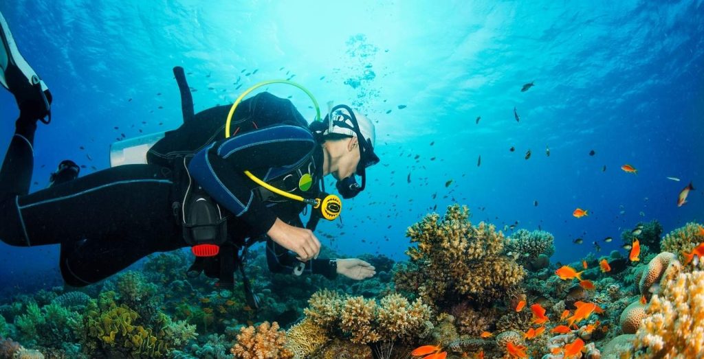 Diving in Maldives
