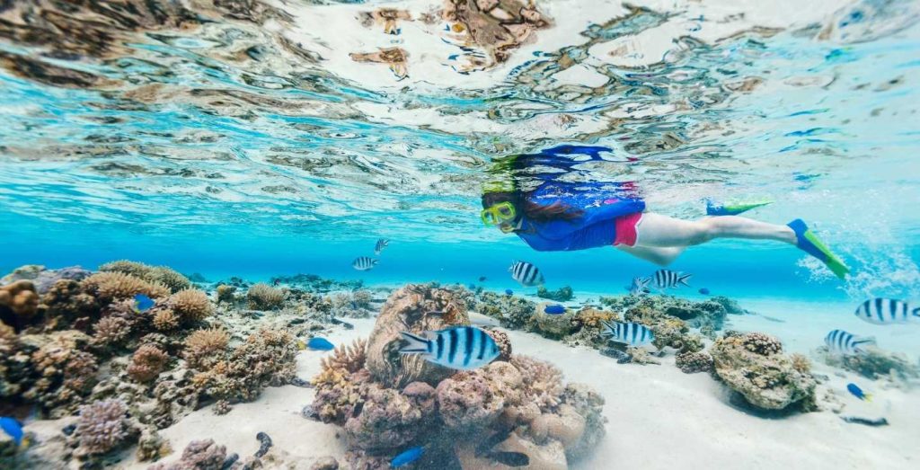 Snorkeling in Maldives
