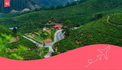 things to do in sri lanka