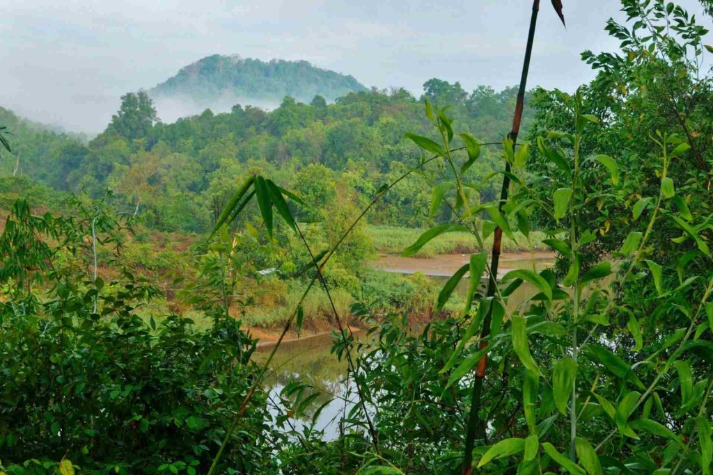 Cat Tien National Park