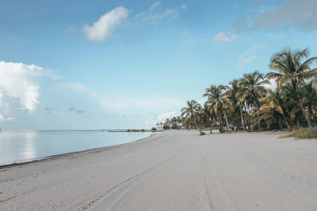 A shot taken from a sandy beach on Key West, with the Atlantic Ocean on the left and palm trees towering on the right. 