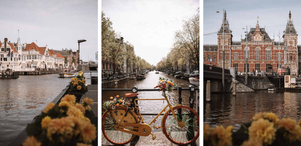 How does the Netherlands digital nomad visa work