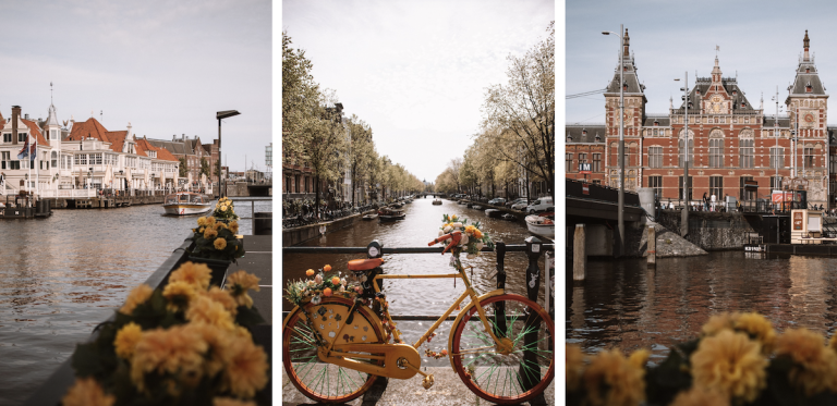 How does the Netherlands digital nomad visa work