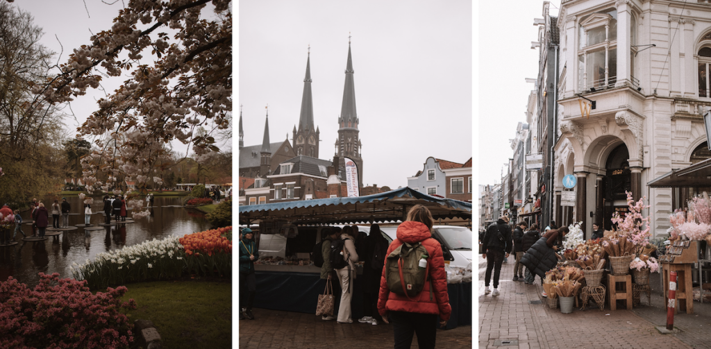 Personalized advice for the digital nomad visa in the Netherlands