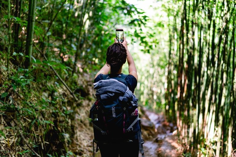 A traveler taking a photo in a Vietnam forest