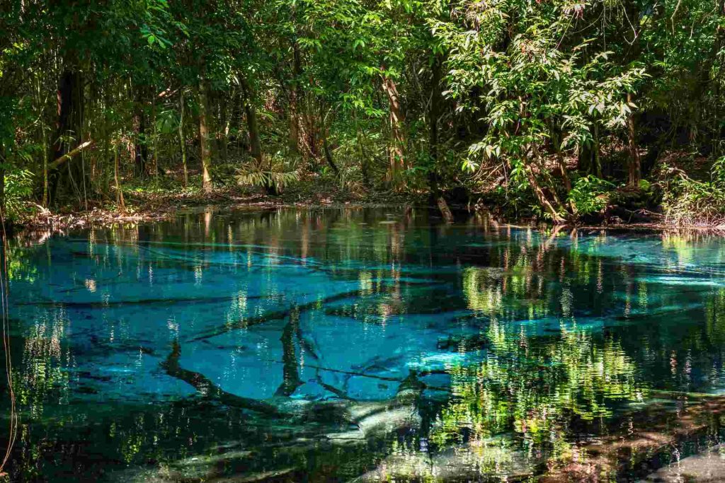 Emerald Pool is known for its stunning crystal clear water