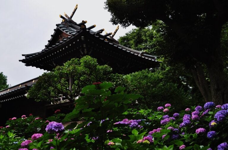 Garden in Tokyo