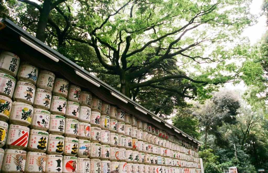 A photo of the Meiji Shrine