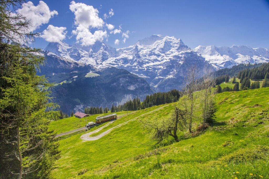 A train runs through beautiful landscape Swiss Alps