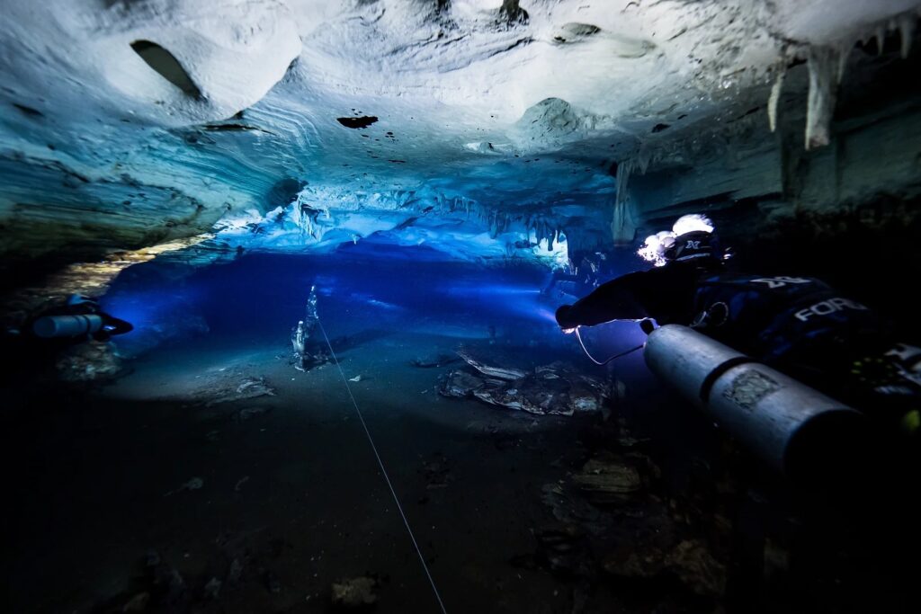 Diving into the Cave Oleg Bat House. Source: DRSS