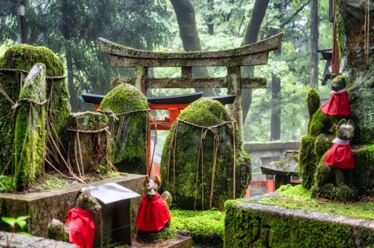 Fushimi Inari-Taisha Shrine with a Torii gate in the background