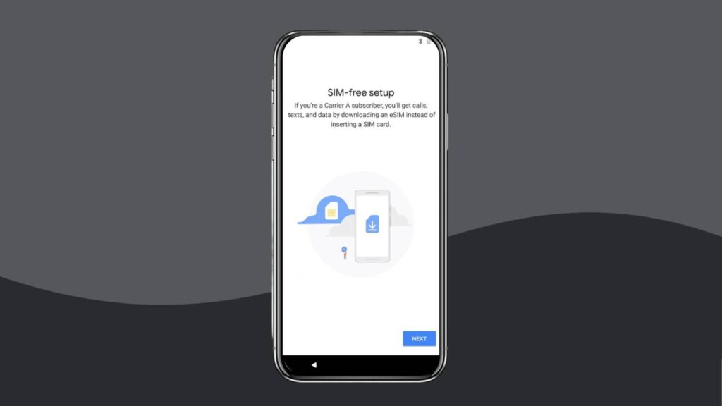 Google eSIM Manager