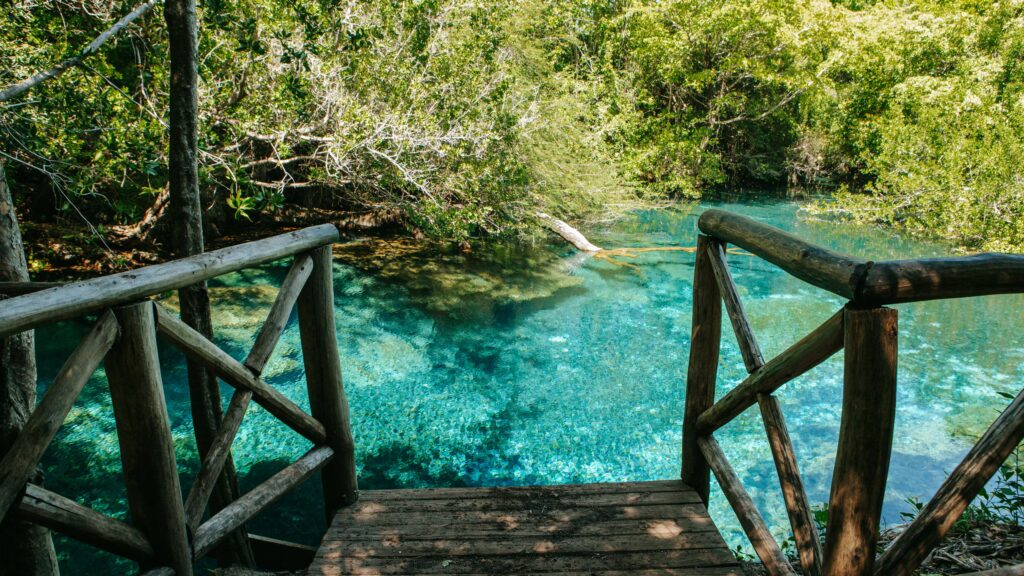 Indigenous Eyes Ecological Park in Punta Cana. Source: Indigenous Eyes Ecological Park