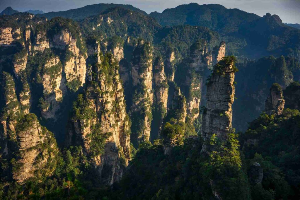 Overgrown cliffs at the Zhangjiajie National Forest Park