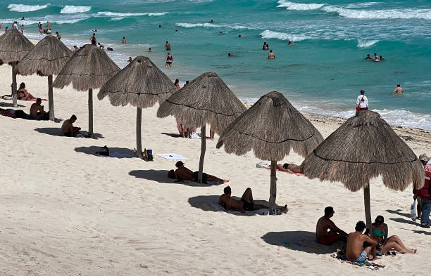 A line of thatch-roof huts called palapas on the shore of the Playa Delfines.