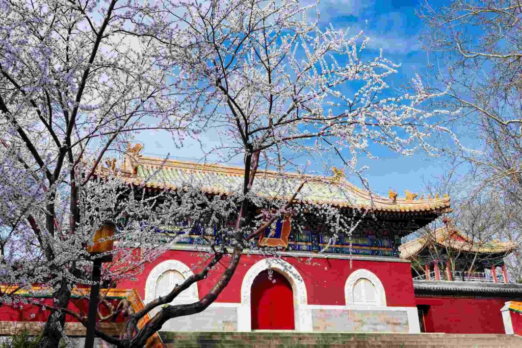 The Forbidden City in the spring