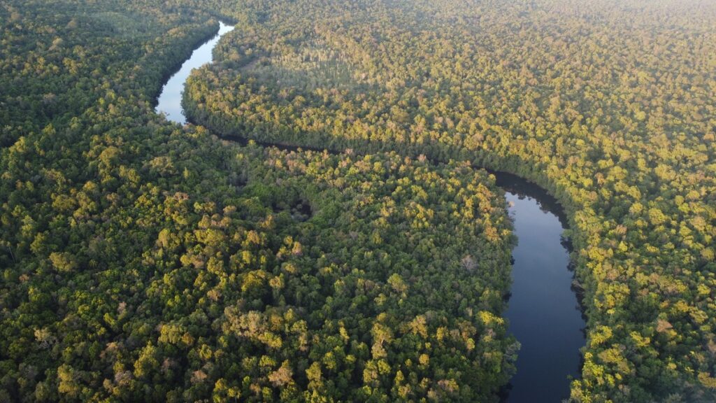 The Cardamom Mountain region rainforest in Cambodia