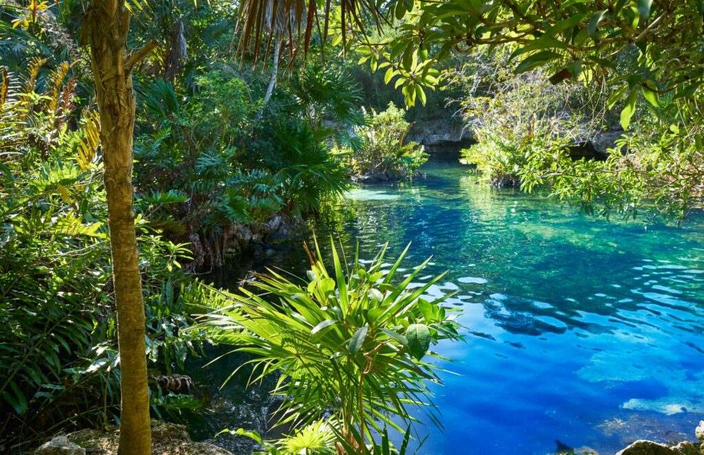 Cenote in Costa Maya jungle