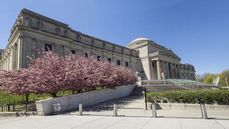 View of the cherry blossoms in front of the Brooklyn Museum