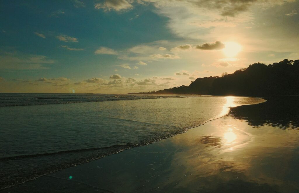 Playa Las Flores
