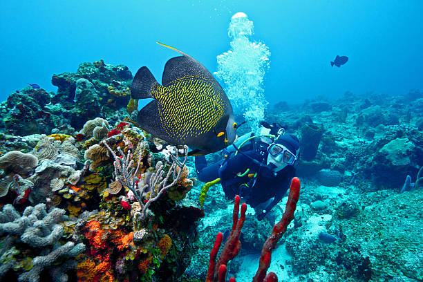 A tourist scuba diving in Cozumel. Source: Getty Images