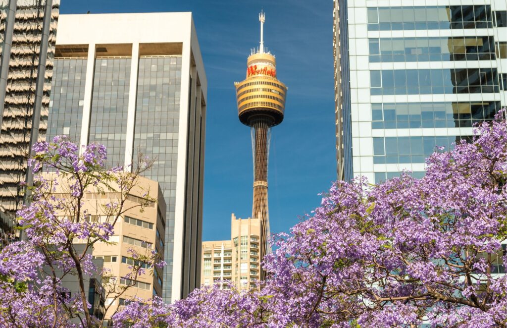 Sydney Tower Eye. Source: Canva
