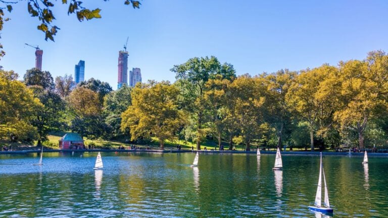 Toy boats drifting on the lake in Central Park