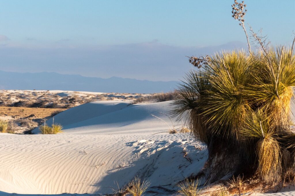 Restore and explore at White Sands National Park in New Mexico; Source: Canva