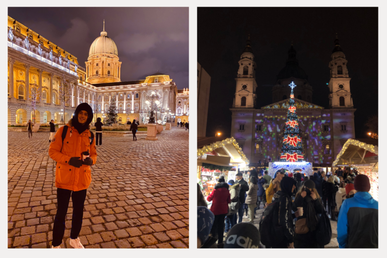 Take a look at how the city lights up at Christmas time!