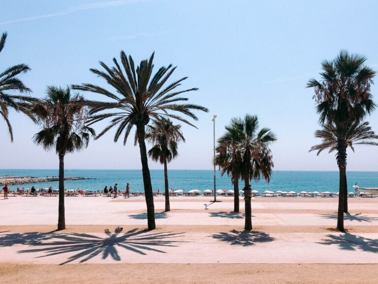 The Barceloneta beach in Barcelona, Spain, on a bright summer day with tall palm trees casting shade over the golden sands, contrasting with the calm blue waters in the distance.