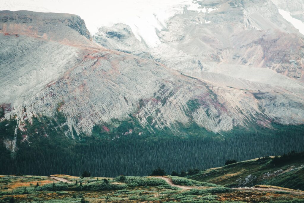 The iced Jasper National Park in the Canadian Rockies, Canada. Source: Unsplash