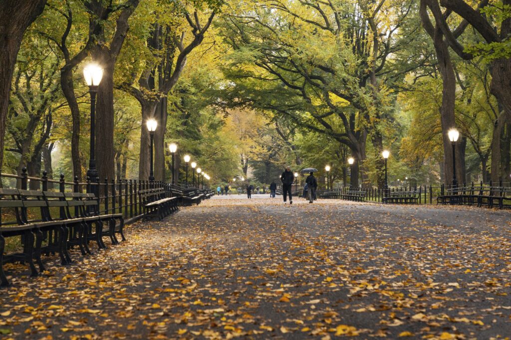 You can walk over the crunchy leaves during autumn in Central Park, New York City. Source: Unsplash